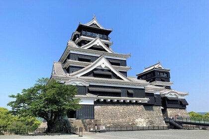 Explore Castles, Shrines, and Gardens in Kumamoto