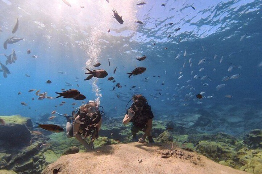 Scuba Diving Experience + Free Edited Video