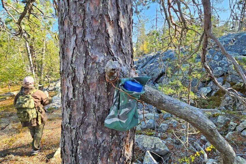 Private Hiking Tour in the Pristine Nature in Pyha Luosto