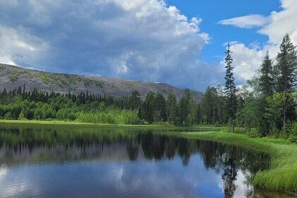 Private Hiking Tour in the Pristine Nature in Pyha Luosto