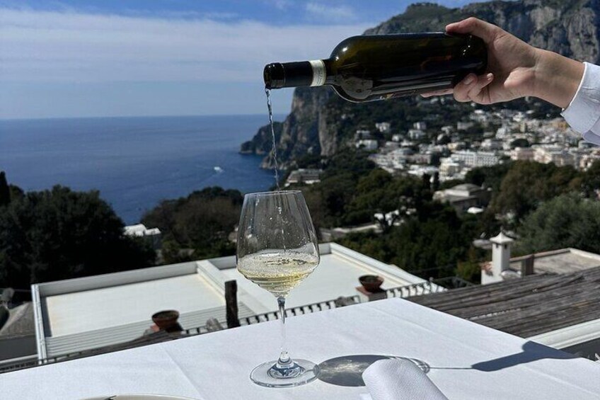 Small Group Capri Wine Tasting Experience with Faraglioni Views