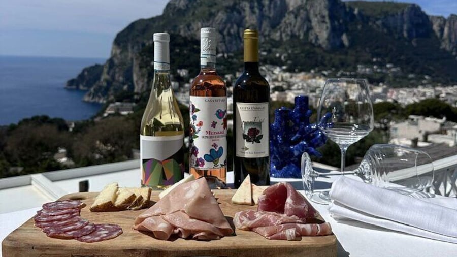 Small Group Capri Wine Tasting Experience with Faraglioni Views