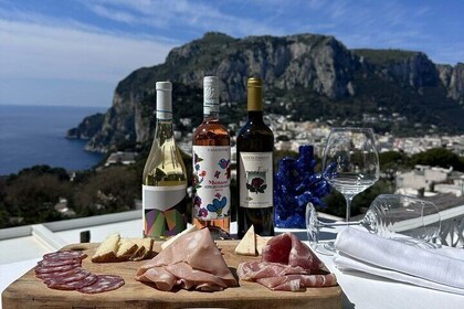 Small Group Capri Wine Tasting Experience with Faraglioni Views