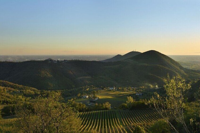 Discover the Euganean Hills Wine and Traditional Flavors