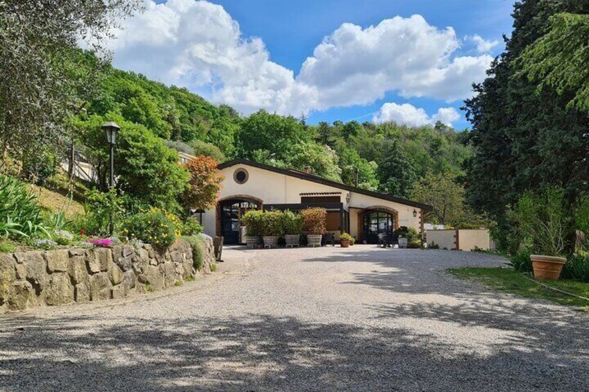 Discover the Euganean Hills Wine and Traditional Flavors