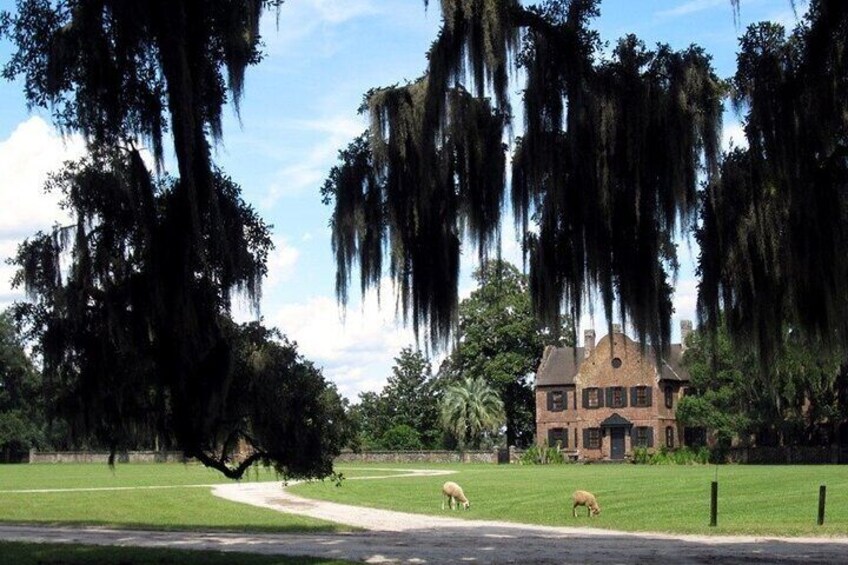 Experience Middleton Place