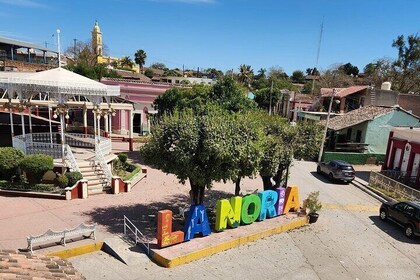 Sip and Stroll Tequila Tasting and La Noria Tour