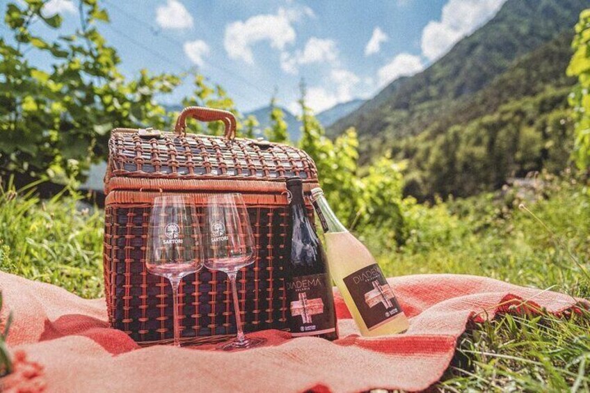 Wine Pic Nic with Stunning Lake View in Ledro
