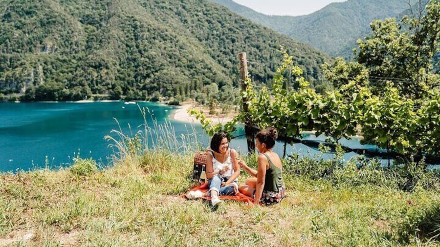Wine Pic Nic with Stunning Lake View in Ledro