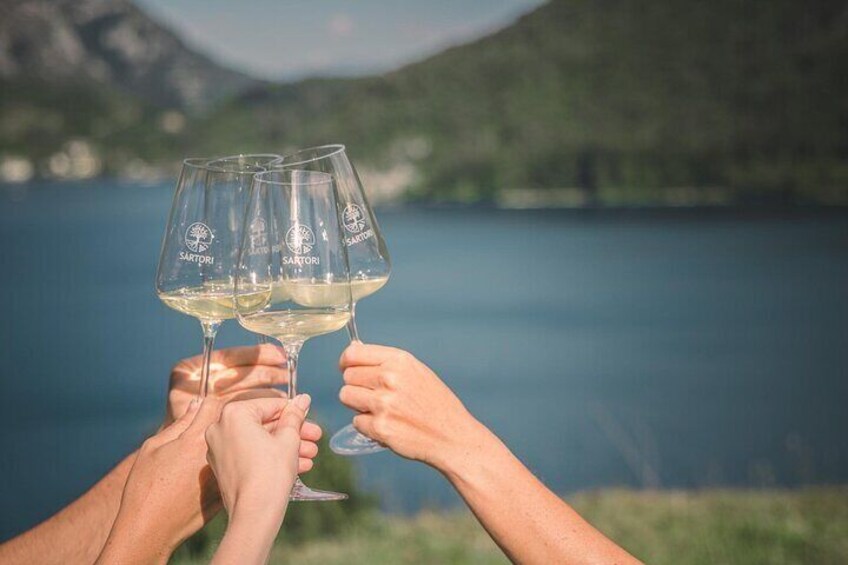 Wine Pic Nic with Stunning Lake View in Ledro