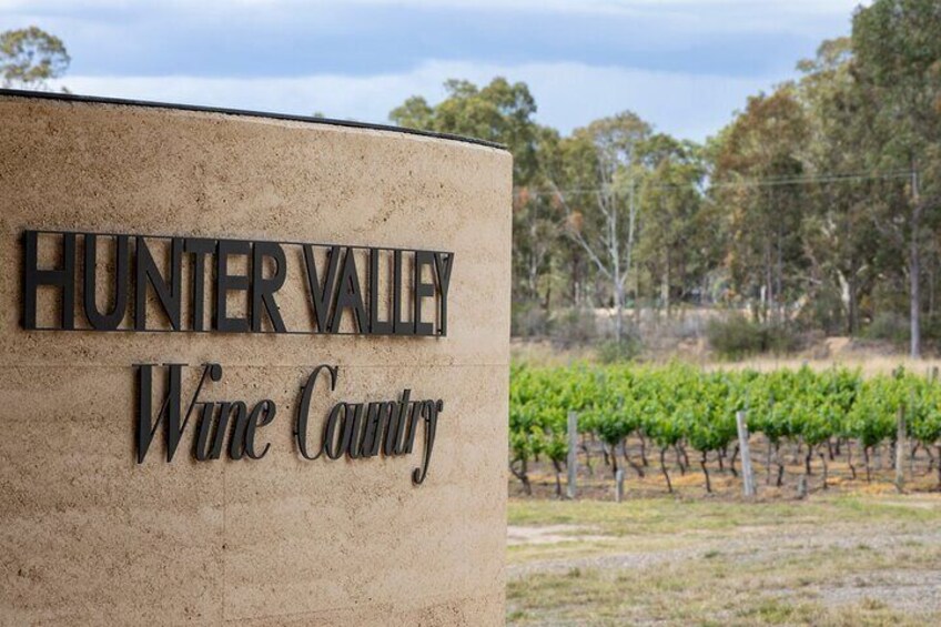 Show Stopper Tour Exclusive Wine Tastings and Fine Dining