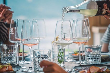 Guided Tour and Tasting Among the Vines of Lake Ledro