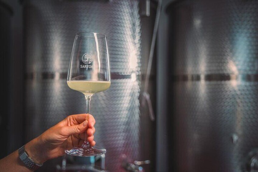Guided Tour and Tasting Among the Vines of Lake Ledro