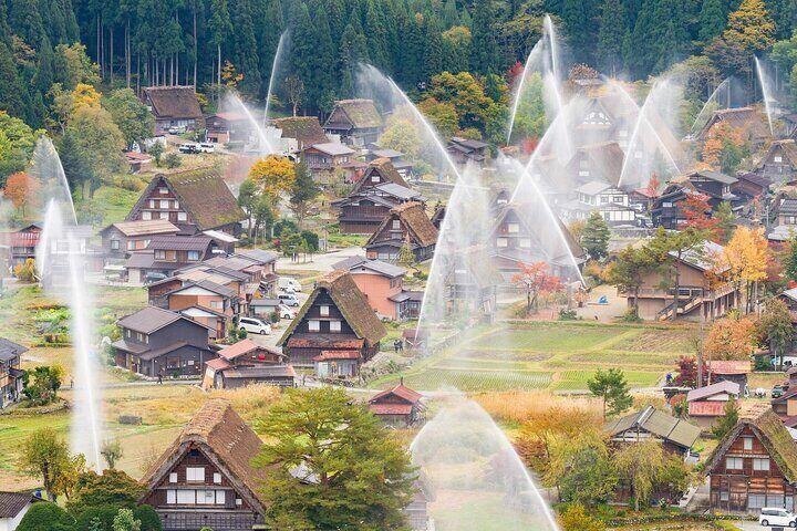 As autumn deepens, Shirakawa-go welcomes the harvest season. The rice fields turn golden, and signs of farmers preparing for winter are visible everywhere. 