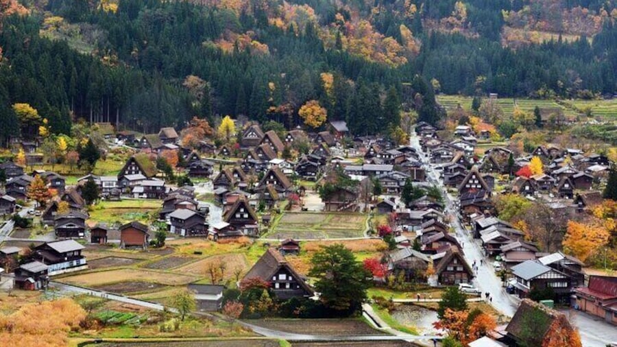 Shirakawago to visit Gujo Hachiman and Hida Takayama