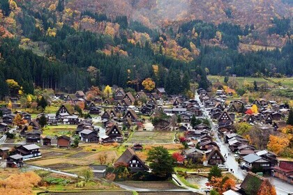 Shirakawago, Gujo Hachiman & Hida Takayama Day Tour | from Nagoya