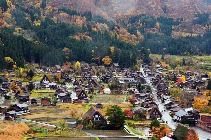 Shirakawago to visit Gujo Hachiman and Hida Takayama