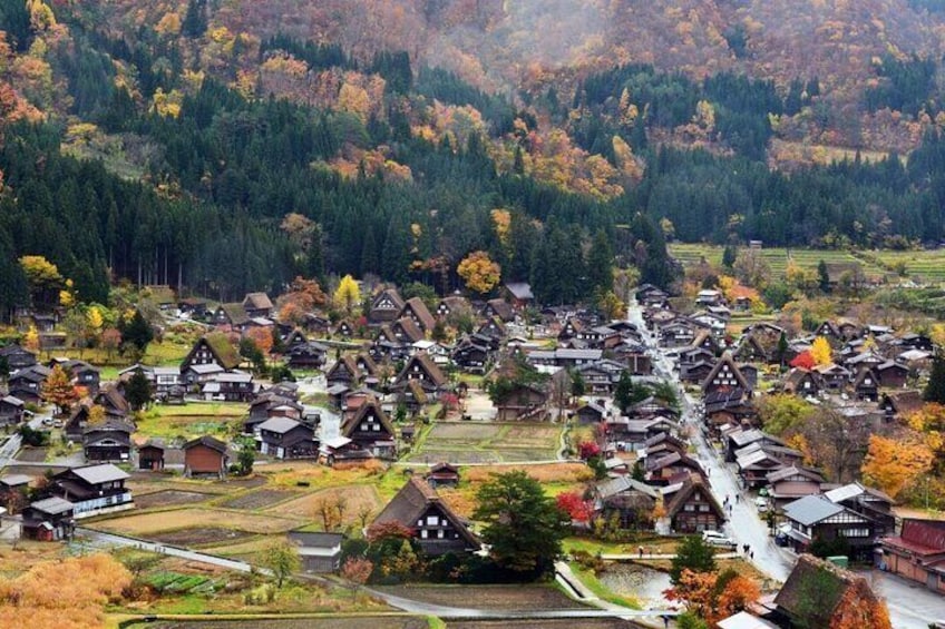 Shirakawago to visit Gujo Hachiman and Hida Takayama
