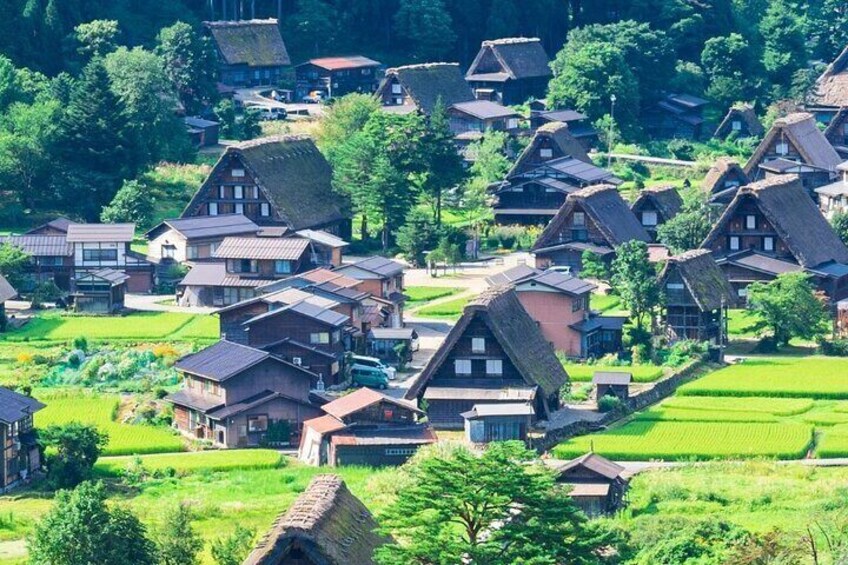 Shirakawago to visit Gujo Hachiman and Hida Takayama