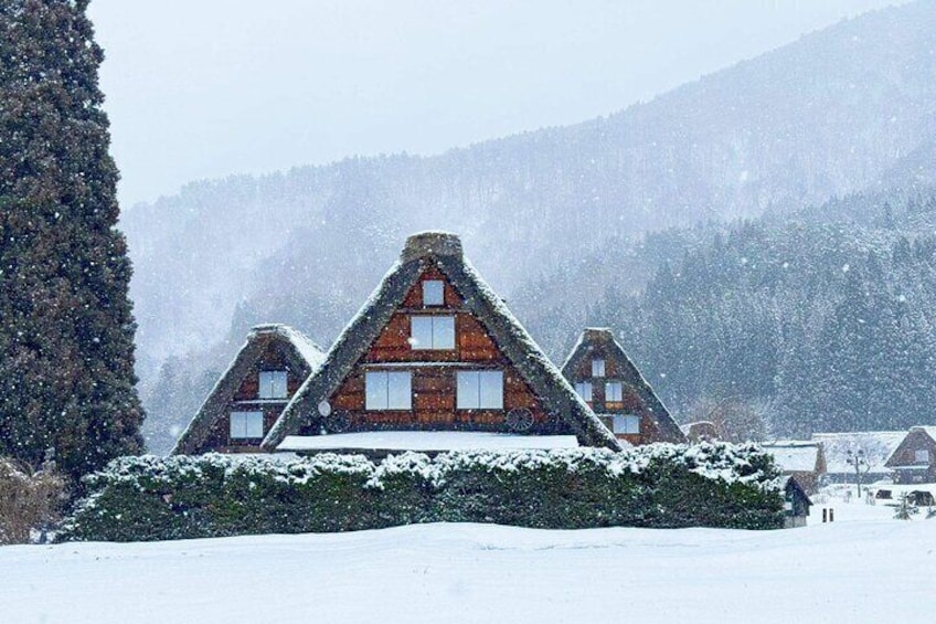 Shirakawago to visit Gujo Hachiman and Hida Takayama