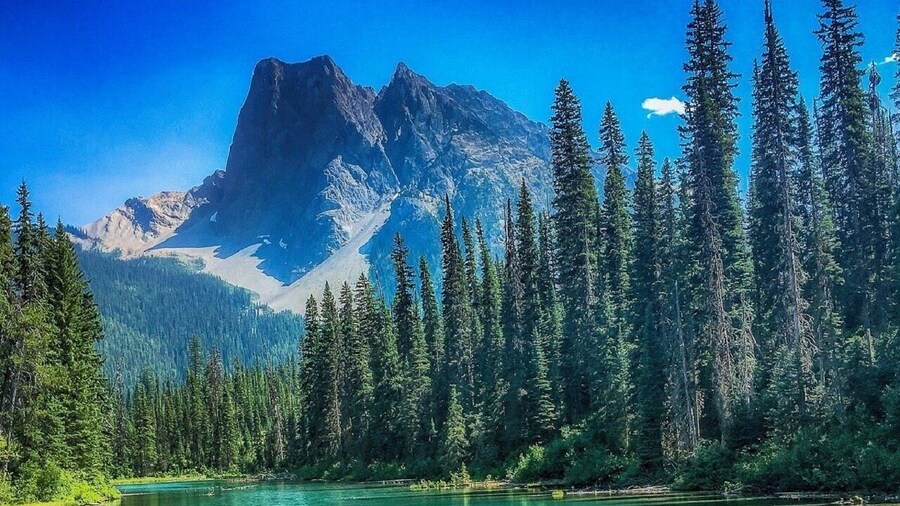 Lake Louise,Moraine Lake,Emerald Lake Day Trip from Banff/Calgary