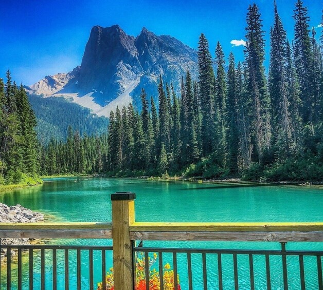 Lake Louise,Moraine Lake,Emerald Lake Day Trip from Banff/Calgary