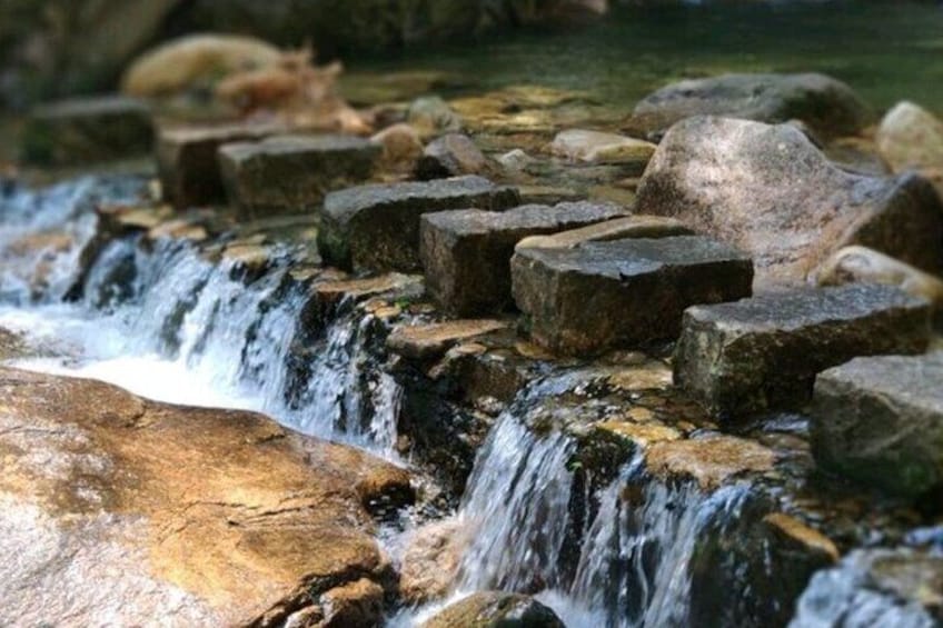 2 Days Mount Wuyi Cultural Heritage Private Tour