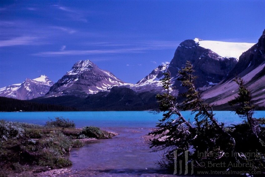 Columbia lcefield,Peyto Lake,Bow Lake Day Trip from Banff/Calgary