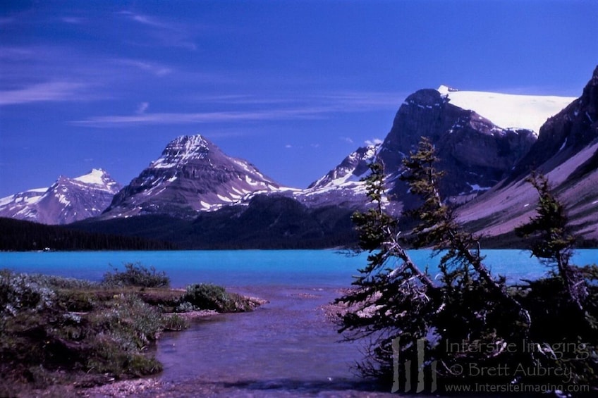 Columbia lcefield,Peyto Lake,Bow Lake Day Trip from Banff/Calgary