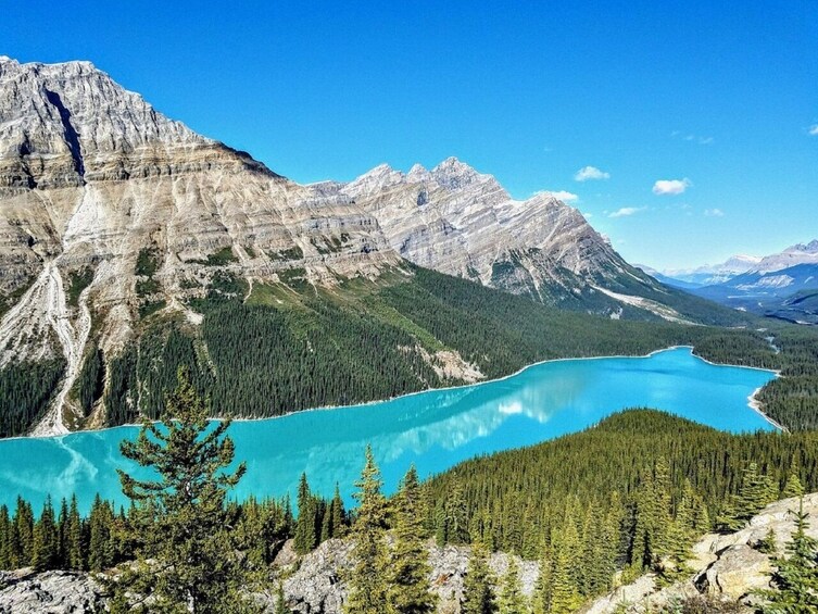 Columbia lcefield,Peyto Lake,Bow Lake Day Trip from Banff/Calgary