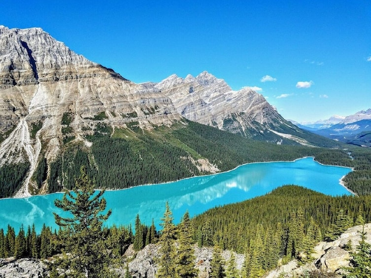 Columbia lcefield,Peyto Lake,Bow Lake Day Trip from Banff/Calgary
