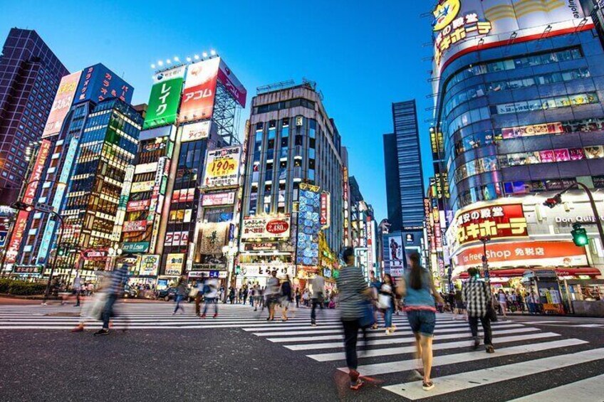 Shinjuku Neon Lights