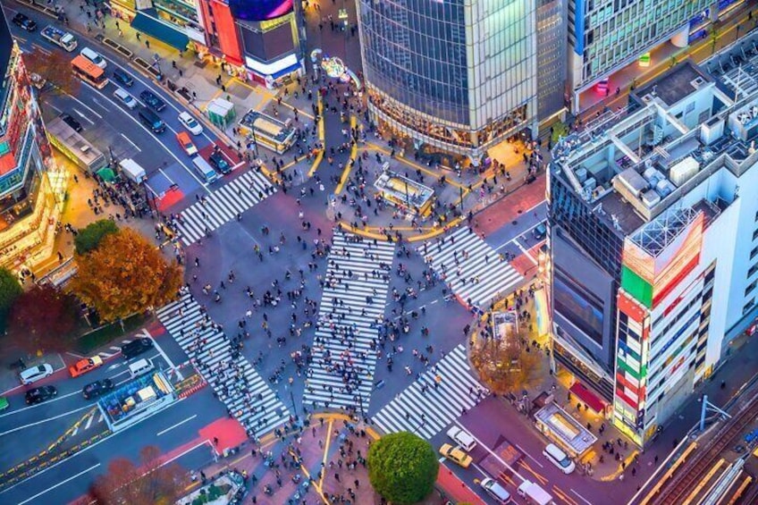 Shibuya Scramble Crossing