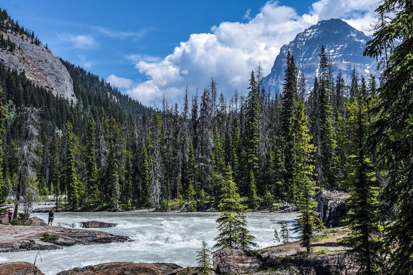Banff/Calgary DayTrip to Lake Louise,Moraine Lake,Johnston Canyon