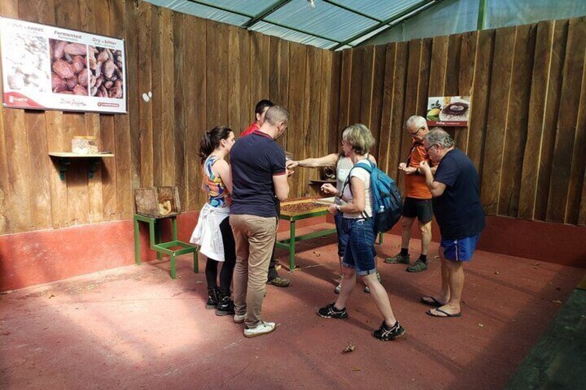 Skywalk & Beans with a sweet taste, Monteverde Experience