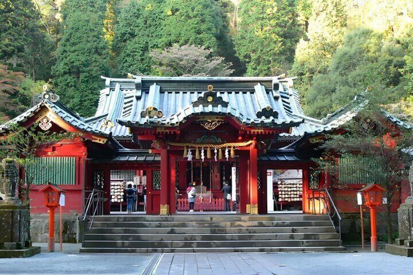 From Tokyo Hakone Private Customized Day Tour