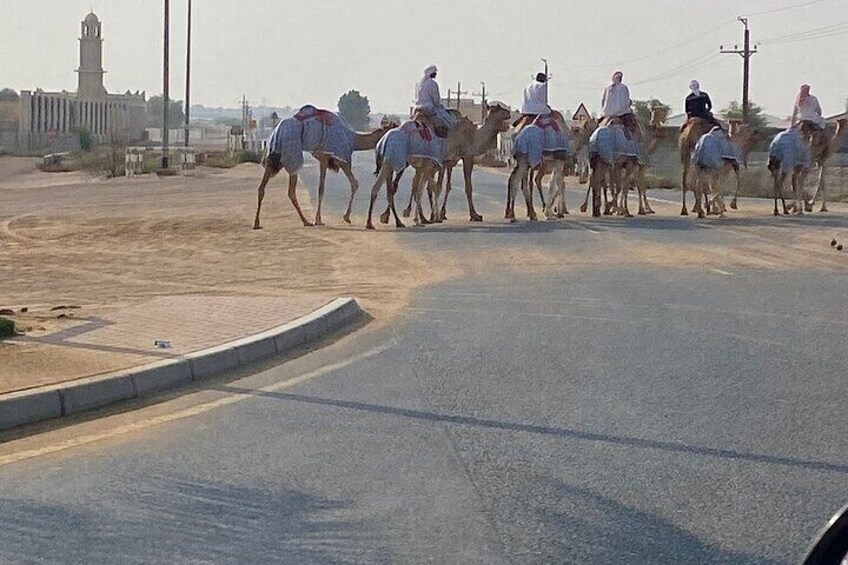 Al Ain City Tour from Dubai