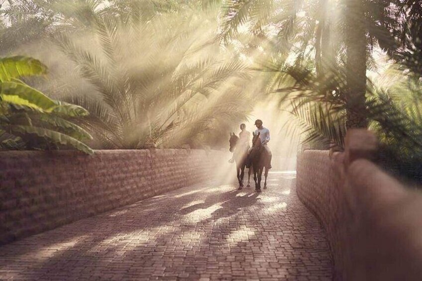 Al Ain City Tour from Dubai
