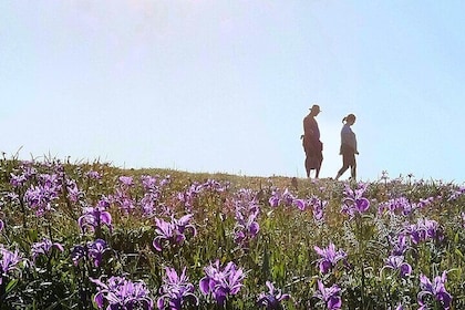 A Self-Guided Audio Tour Around Bodega Head