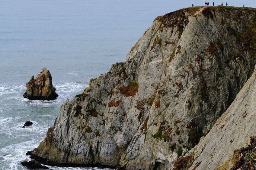 A Self Guided Walk Around Bodega Head 