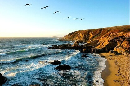 A Self-Guided Audio Tour Around Bodega Head