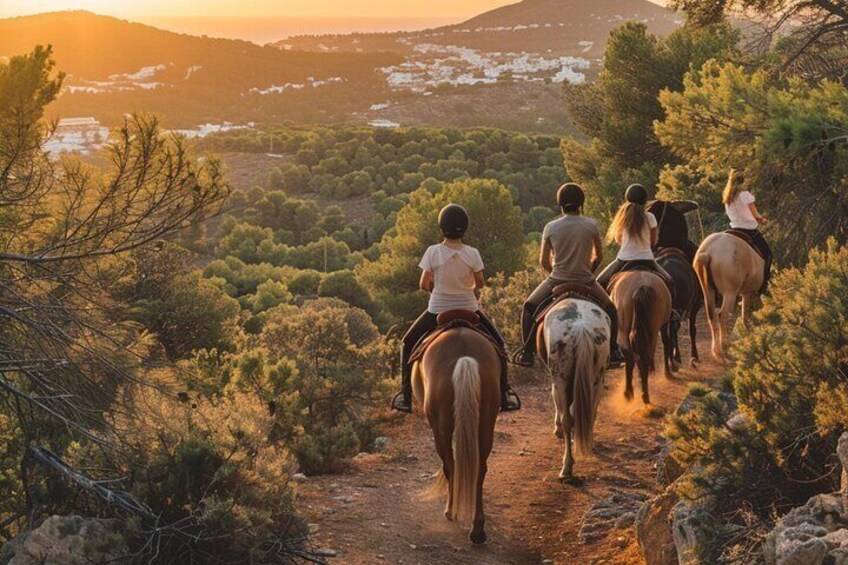 Formentera Private Scenic Horseback Ride