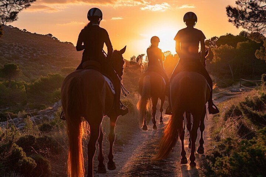 Formentera Private Scenic Horseback Ride