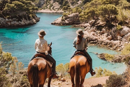 Formentera Private Scenic Horseback Ride