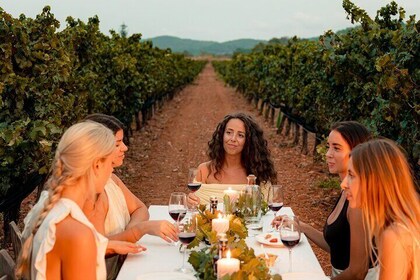 Ibiza : Dégustation privée de vin et d'huile d'olive et Tapas & Transport