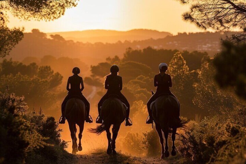 Formentera Private Scenic Horseback Ride