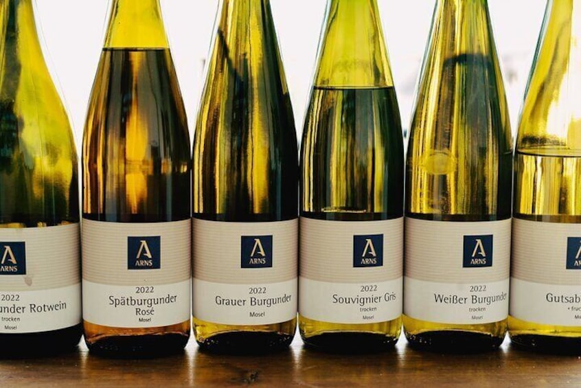 Organic Wine Tasting and Cellar Tour in Reil Mosel