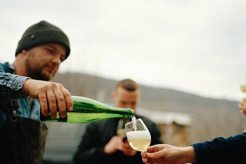 Organic Wine Tasting and Cellar Tour in Reil Mosel