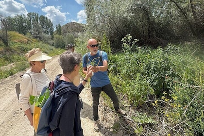 The Northern Cappadocia Private Tour