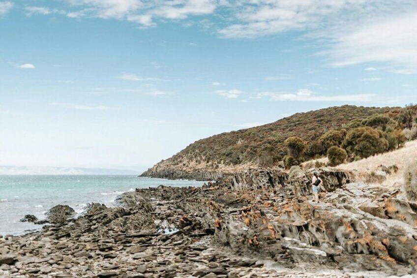 Kangaroo Island Ultimate Adventure Tour departing Penneshaw